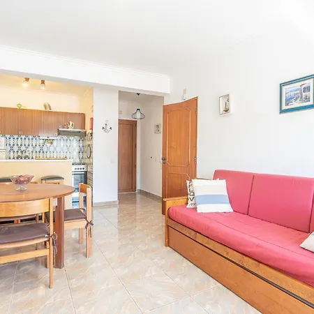 T1 Palmar